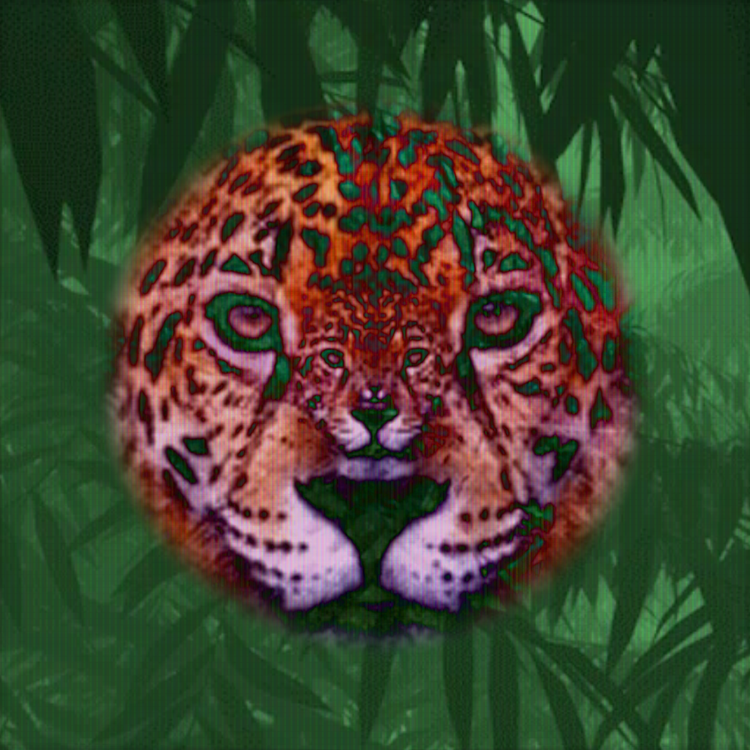 Jungle cat by Trevor cover