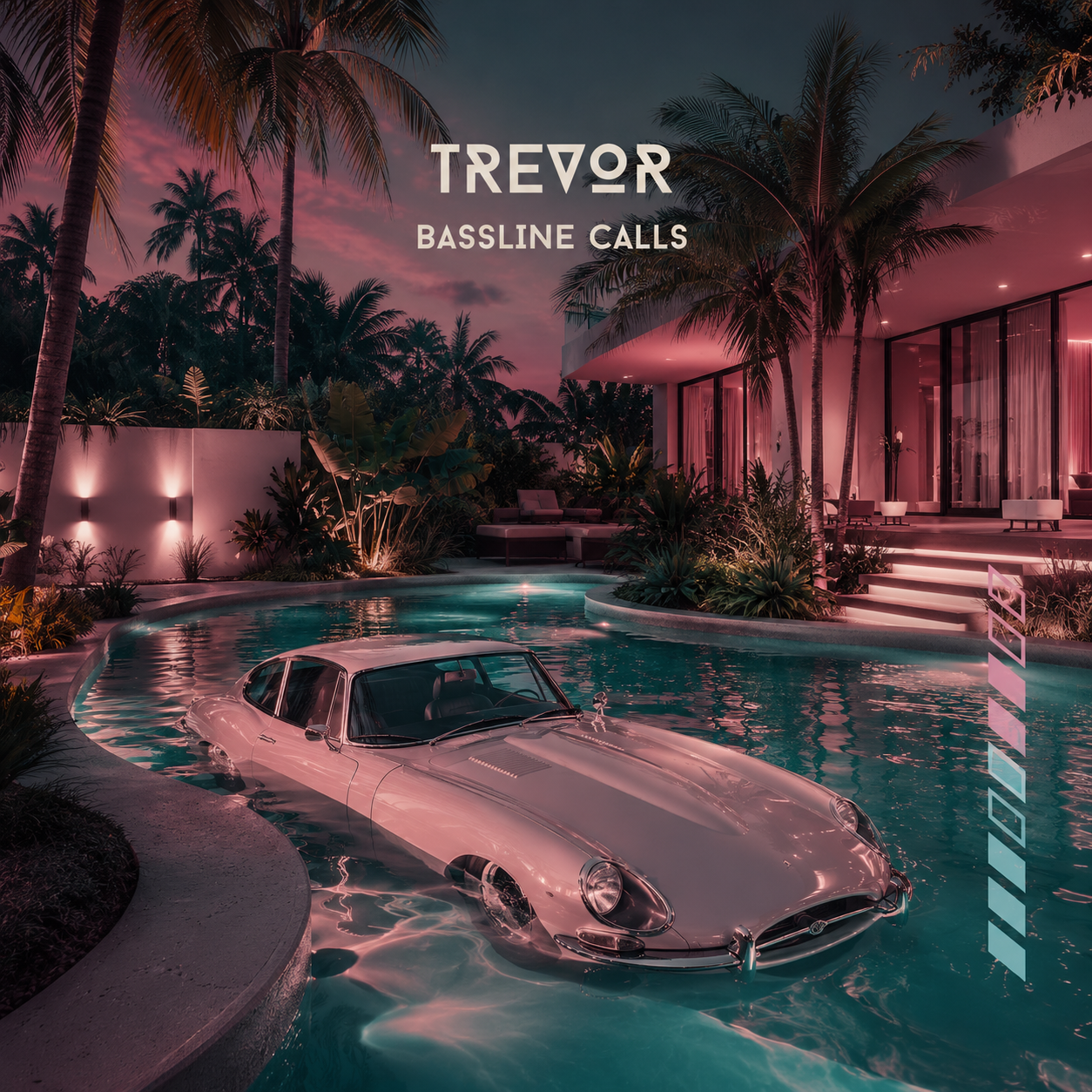 Bassline calls by Trevor cover