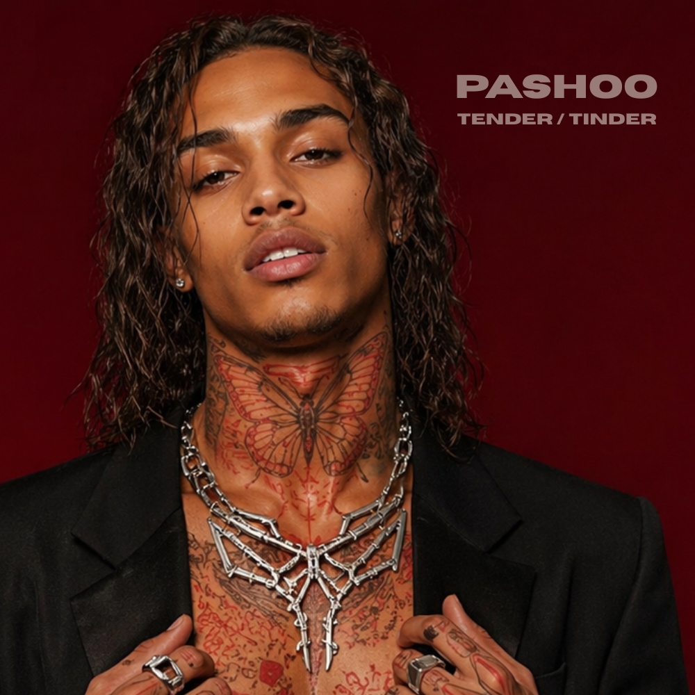 Tender / Tinder by Pashoo cover