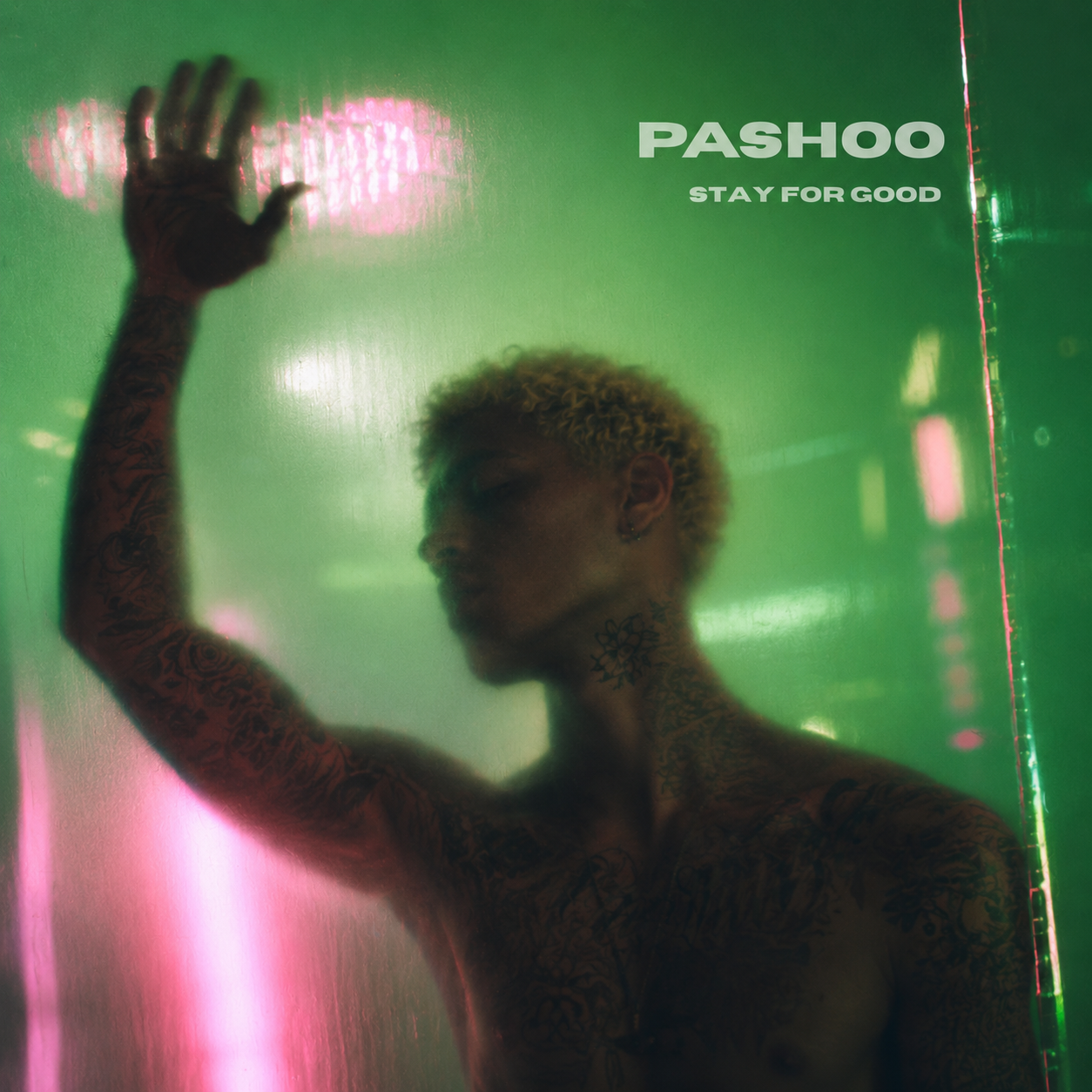 Stay for good by Pashoo cover