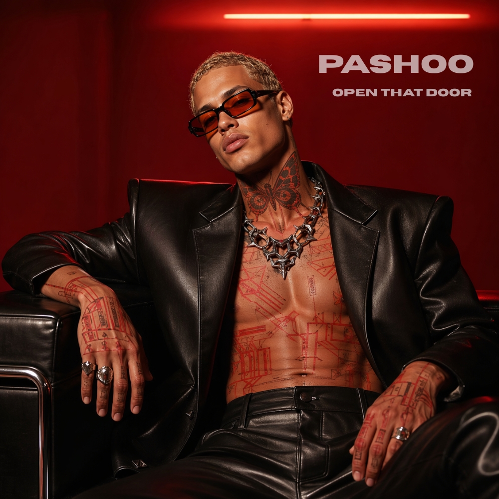 Open that door by Pashoo cover