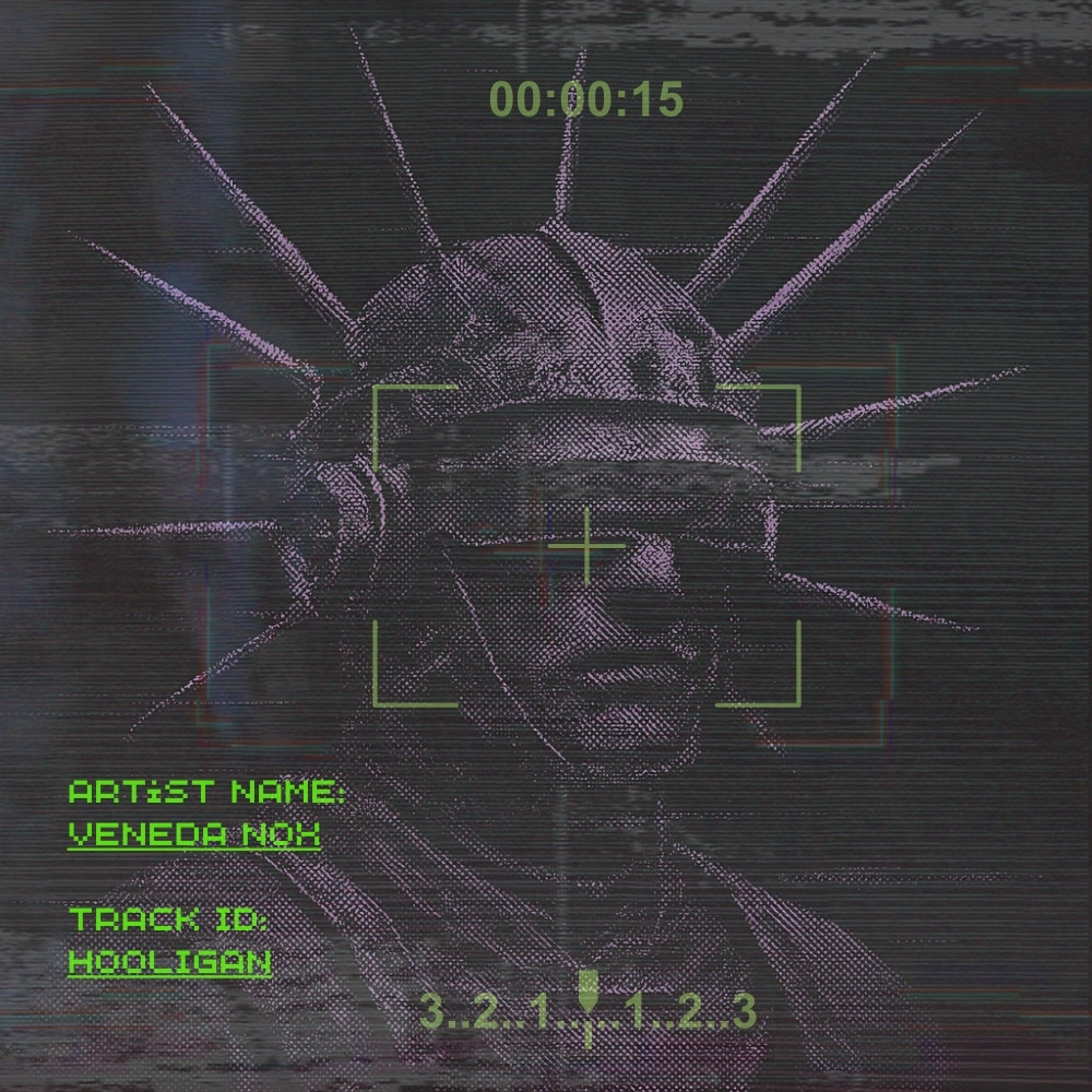 Hooligan by Veneda Nox cover